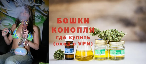 PSILOCYBIN Аркадак
