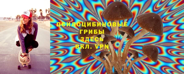МДПВ Арсеньев
